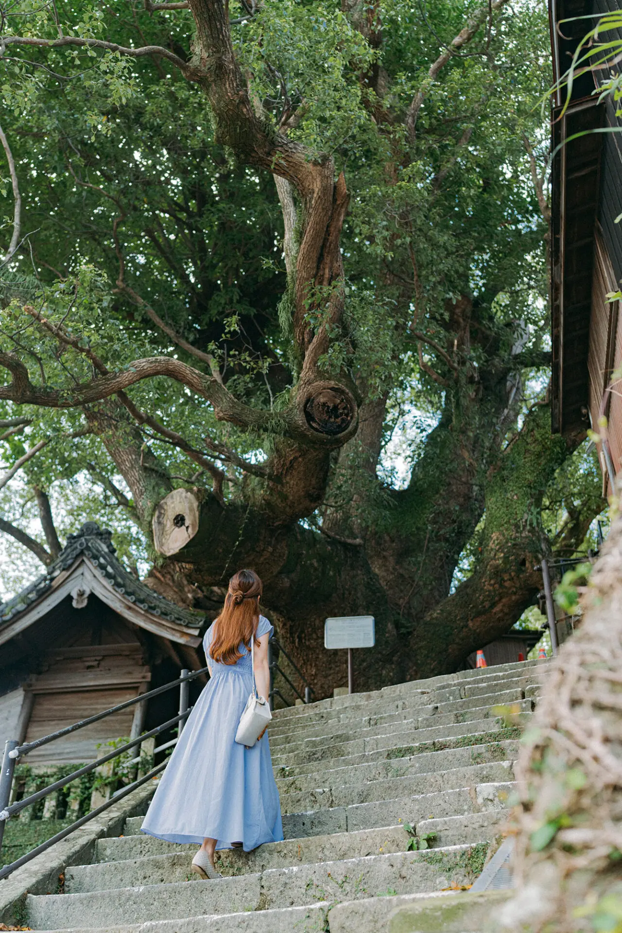 長崎には何もない」と口にしている方にこそ伝えたい！“I am 長崎人