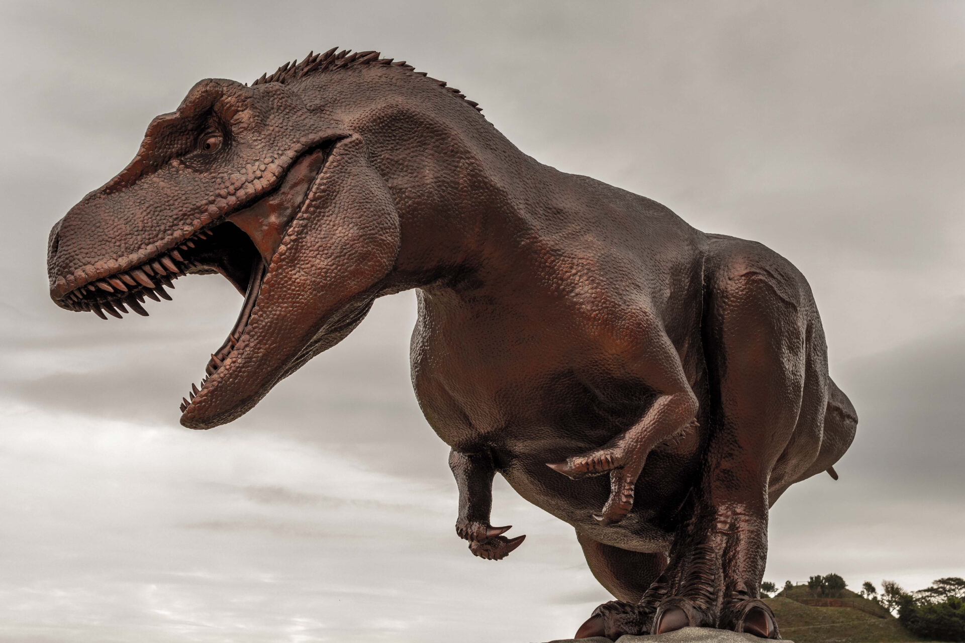 恐竜博物館６（※要クレジット：©NPTA）