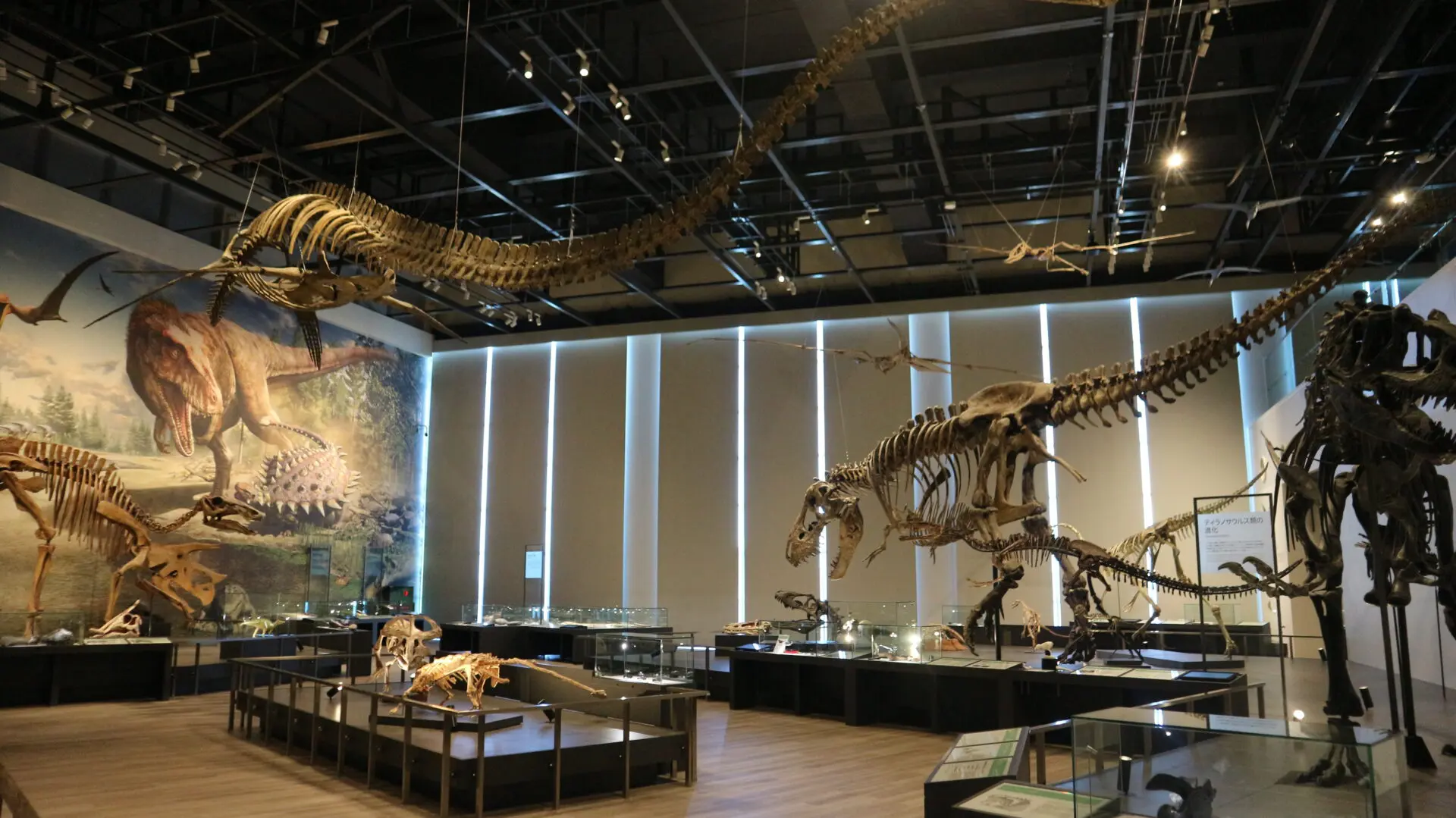 ラッキータクシーで巡る!! ベネックス恐竜博物館（長崎市恐竜博物館