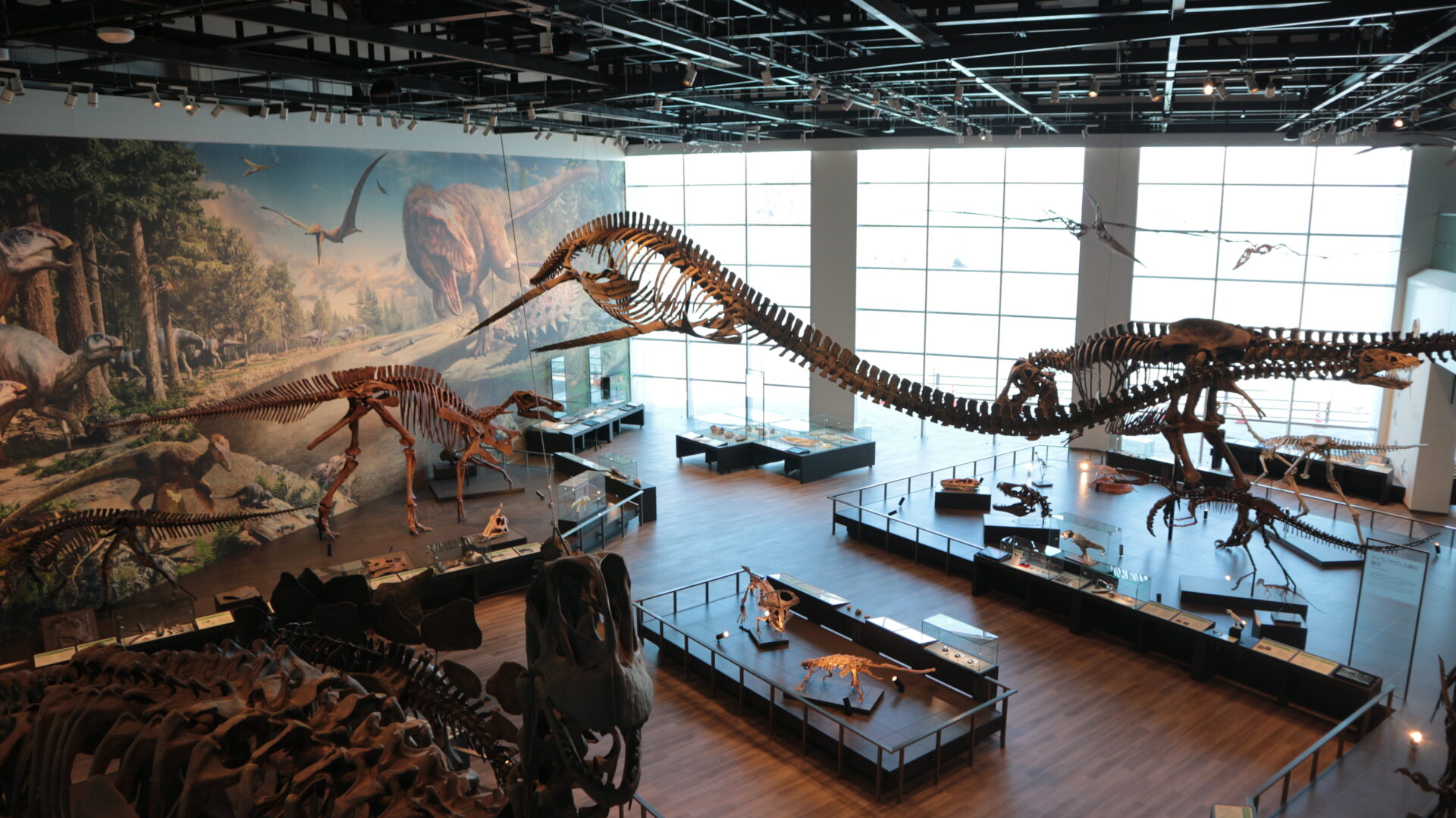 恐竜博物館２（※要クレジット：©NPTA）